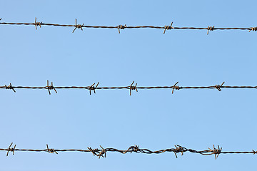 Image showing Barbed wire