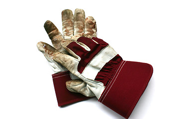 Image showing Used gardening / work gloves