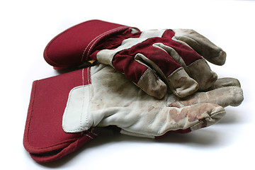 Image showing Used gardening / work gloves