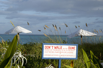 Image showing sign on the beach by dunes