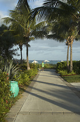 Image showing walkway to beautiful tropical beach