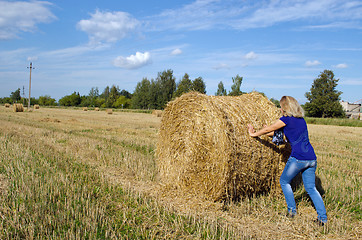 Image showing woman jeans move push straw bale agriculture field 