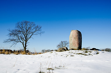 Image showing Vikings runestone