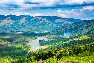 Image showing Tea plantations in India