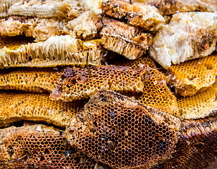 Image showing honeycomb