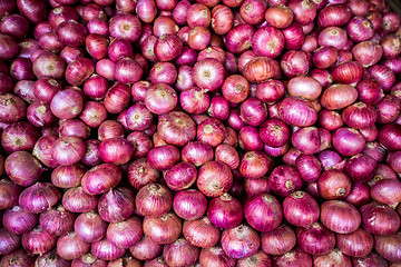 Image showing Onions Background