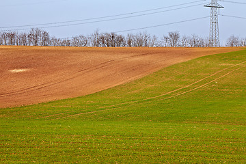 Image showing Agriculture