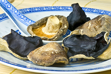 Image showing Shiitake and jew's ear mushroom