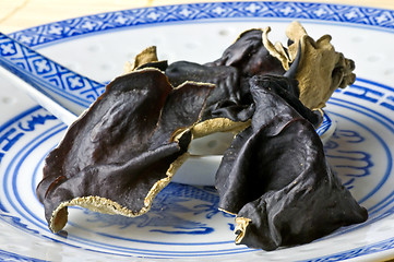 Image showing Jew's ear mushroom