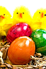 Image showing easter basket with painted eggs and biddies