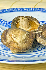 Image showing Shiitake mushroom