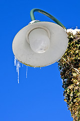 Image showing Icicle on a street lamp