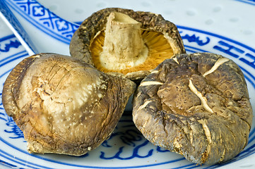 Image showing Shiitake mushroom