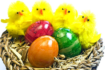 Image showing easter basket with painted eggs and biddies