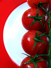 Image showing tomatoes