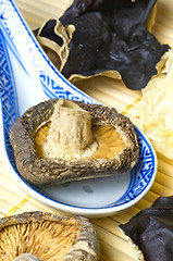 Image showing Shiitake mushroom