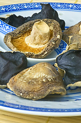 Image showing Shiitake and jew's ear mushroom