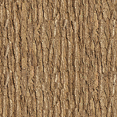 Image showing Elm Bark. Seamless Texture.