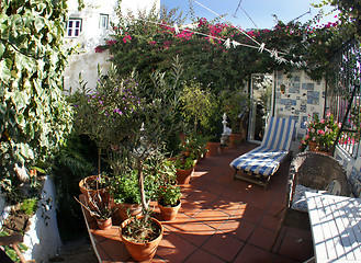 Image showing Well designed terrace with flowers