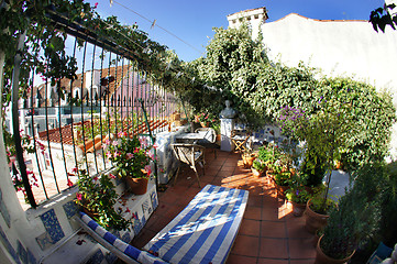 Image showing Well designed terrace with flowers