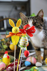 Image showing Easter rabbit and funny cat