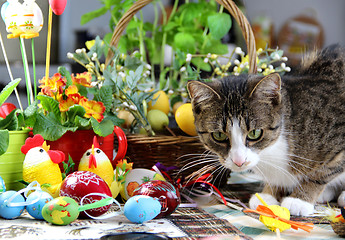 Image showing Easter rabbit and funny cat