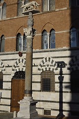 Image showing Lupa di Siena