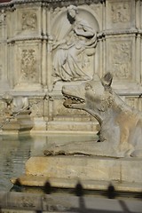 Image showing Fonte Gaia (Siena)