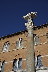 Image showing Lupa di Siena