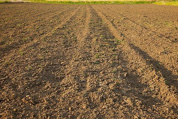 Image showing Soil