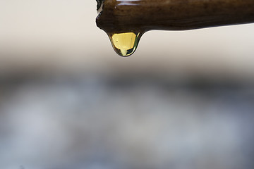 Image showing oil