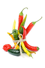 Image showing Chili Peppers