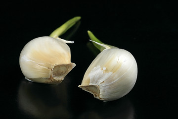 Image showing Garlic