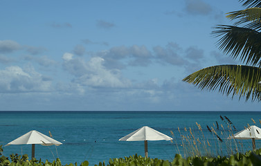 Image showing ocean beach with chairs umbrellas