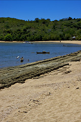 Image showing sand lagoon tropical