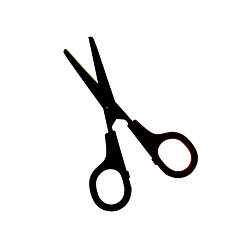 Image showing Pair of Scissors