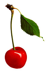 Image showing Sweet cherries