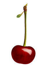 Image showing Sweet cherries