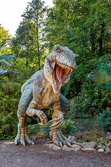 Image showing model of big tyranosaurus rex jungle