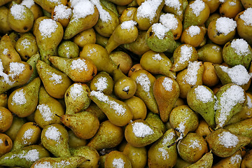 Image showing Pears in snow