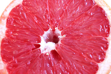 Image showing Background from the cut fruit of grapefruit