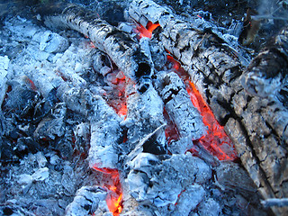 Image showing Ashes and ashes from the extinct fire