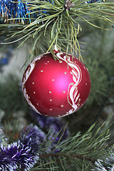 Image showing red New Year's ball on the fur-tree