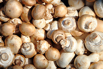 Image showing champignons mushrooms