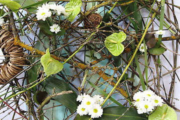 Image showing green and white flower background