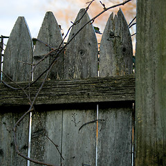 Image showing Weathered Fence