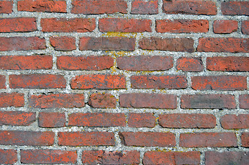 Image showing brick wall