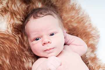 Image showing Newborn baby on fur