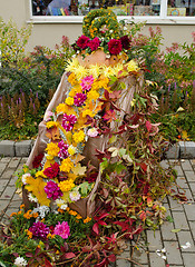 Image showing autumn color decoration flowers leaves fair 