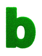 Image showing Grass Letter Isolated on White.